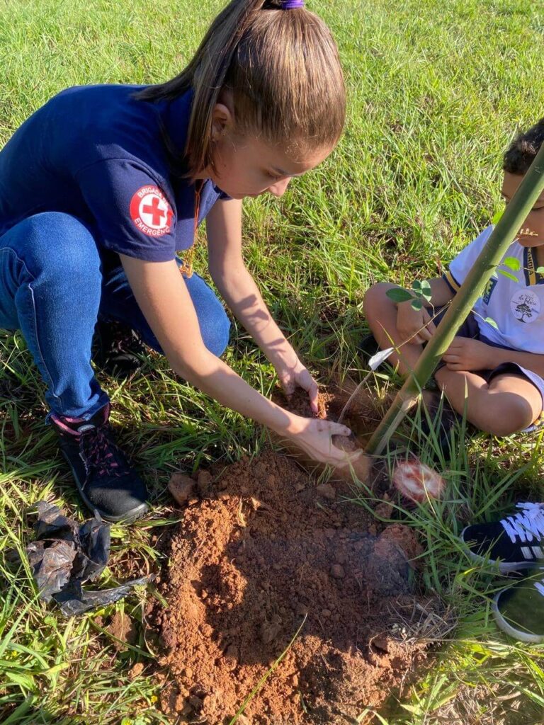 Responsabilidade Social
